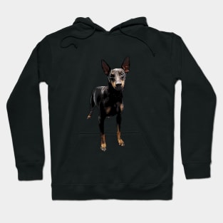 Manchester Terrier Hoodie